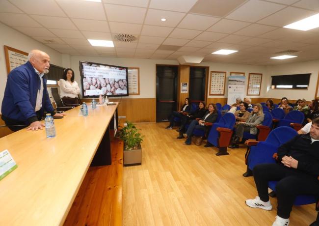 Mar y el IMM-CSIC, en colaboración con la Cofradía de Cangas, ahondan en el estudio de la inmunidad de la almeja rubia frente a factores ambientales